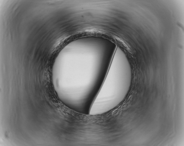 X0000096970776200802080922