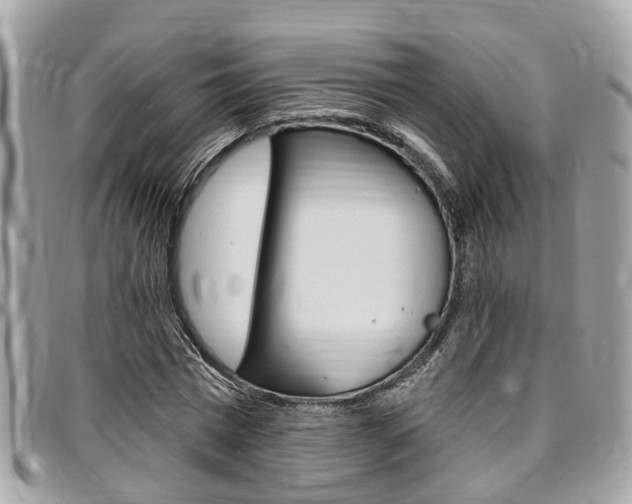 X0000096970777200802080922