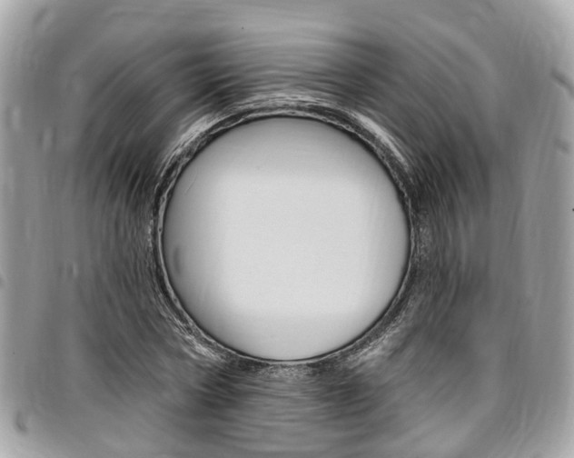 X0000096970778200802080922