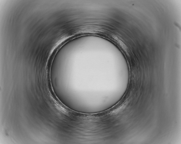 X0000096970779200802080922