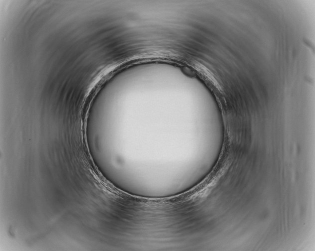 X0000096970781200802080922
