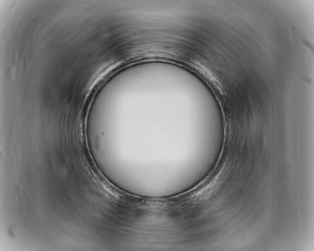 X0000096970782200802080922