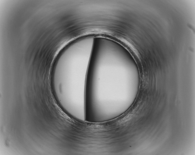 X0000096970783200802080922