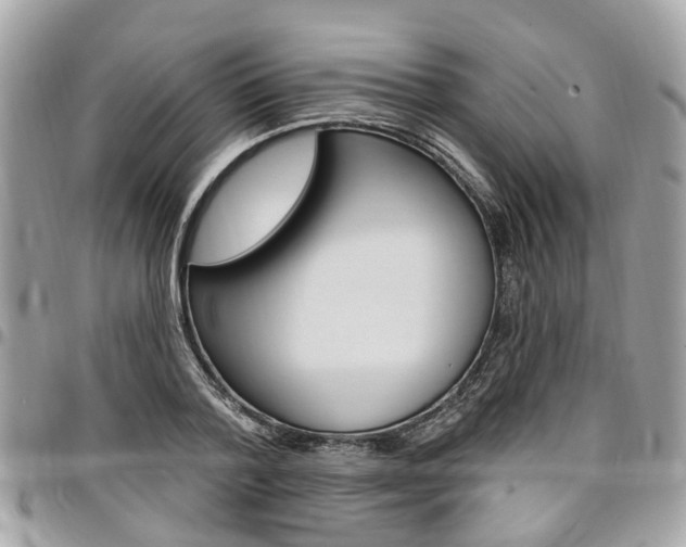 X0000096970788200802080922