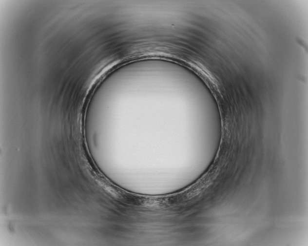 X0000096970790200802080922