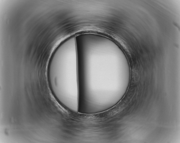 X0000096970791200802080922