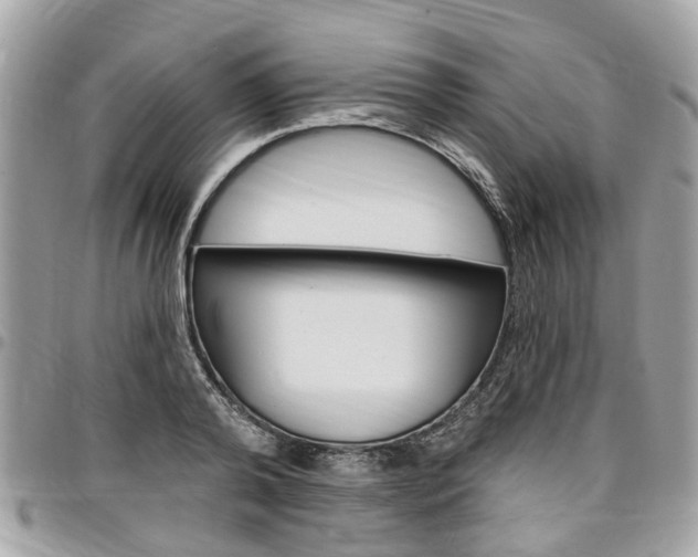 X0000096970792200802080922