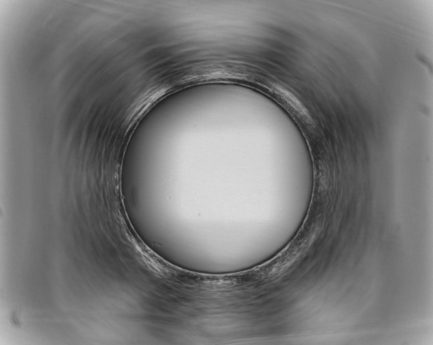 X0000096970793200802080922