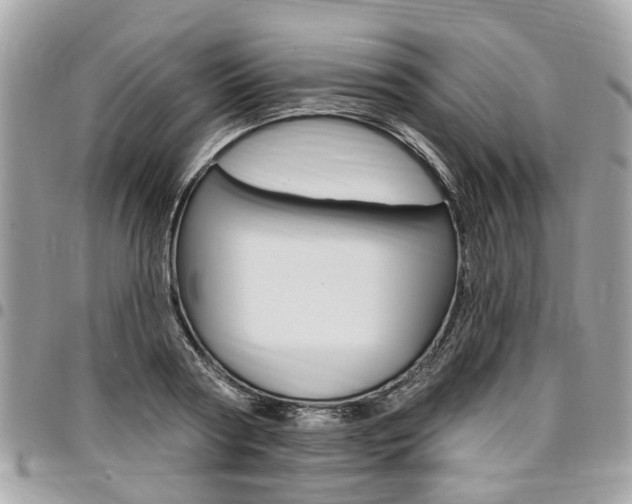 X0000096970794200802080922