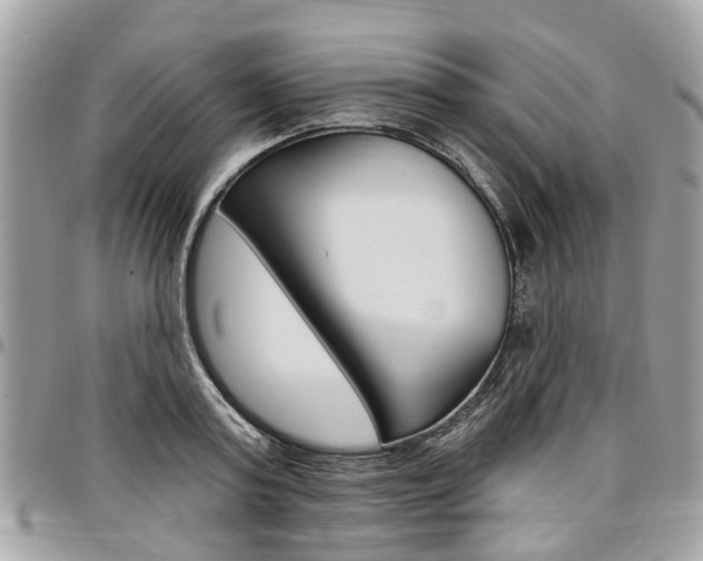X0000096970795200802080922
