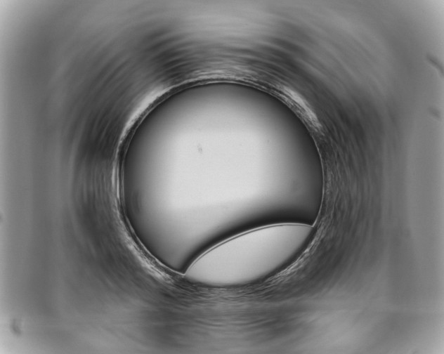 X0000096970796200802080922
