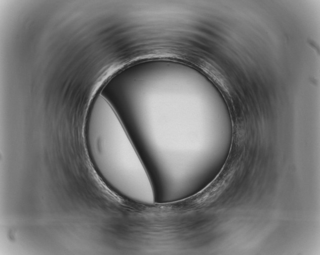 X0000096970797200802080922