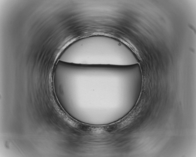 X0000096970798200802080922