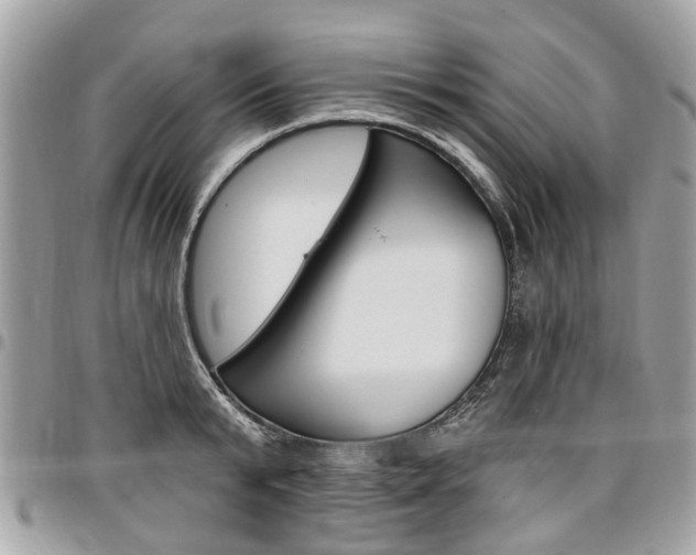 X0000096970799200802080922