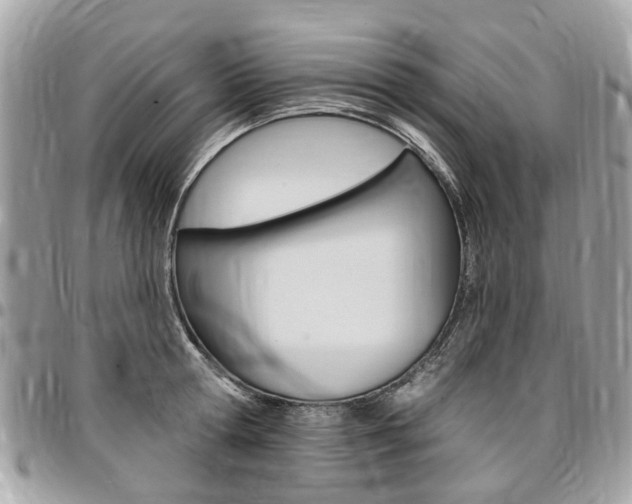 X0000096970802200802080922