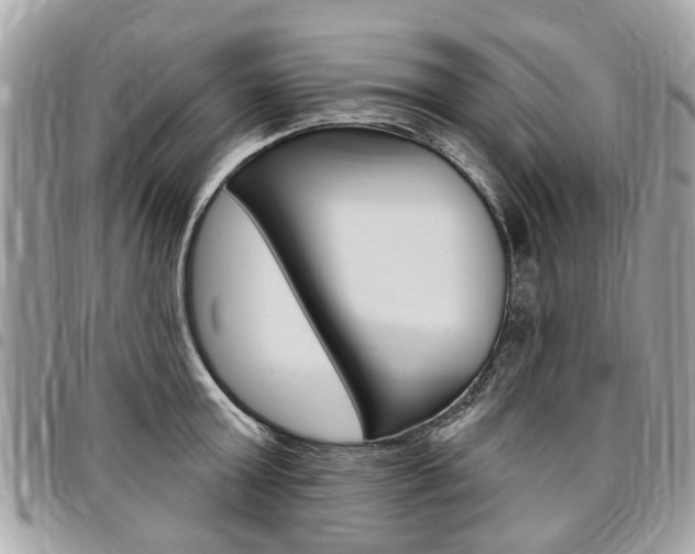 X0000096970803200802080922