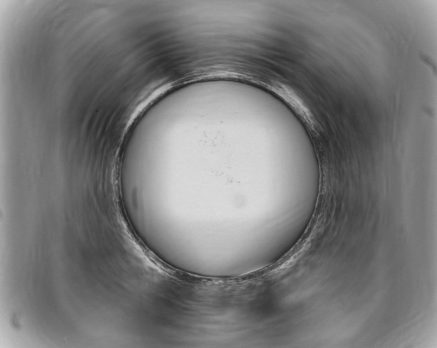 X0000096970806200802080922