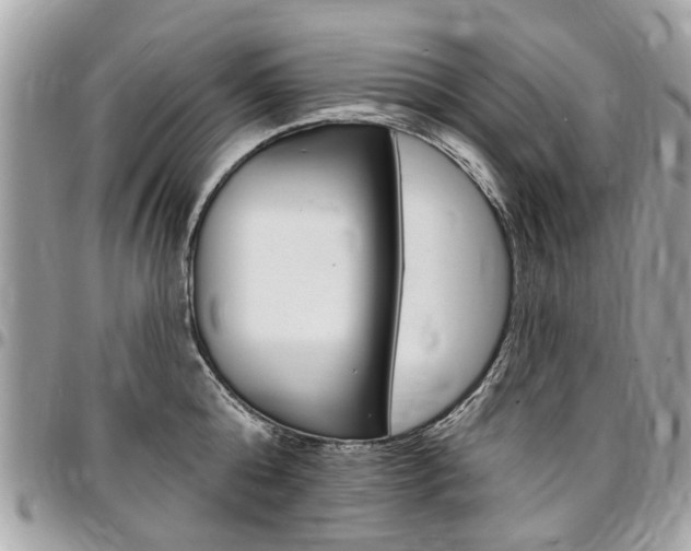 X0000096970808200802080922
