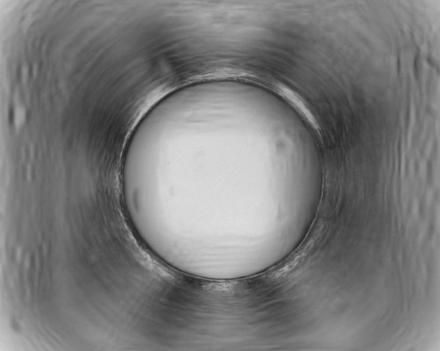 X0000096970810200802080922