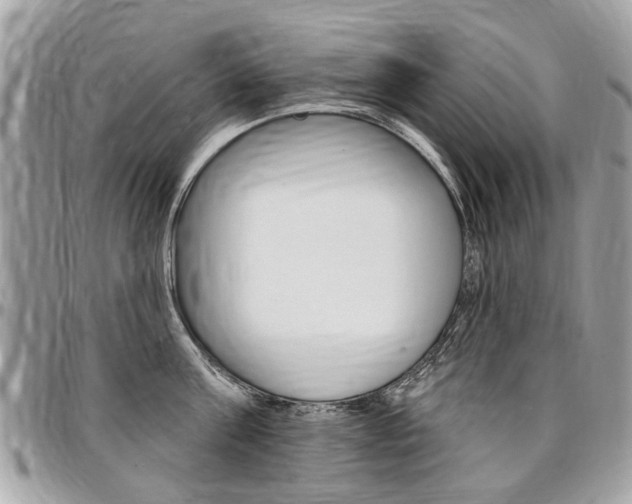 X0000096970811200802080922
