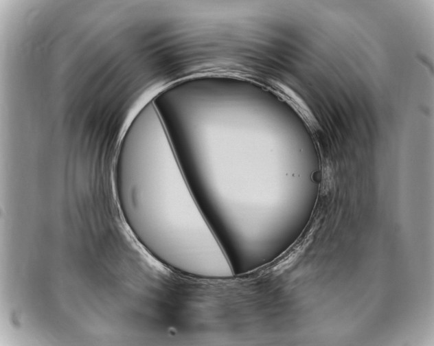 X0000096970812200802080922