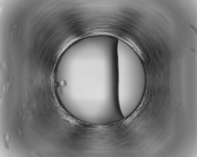 X0000096970814200802080922