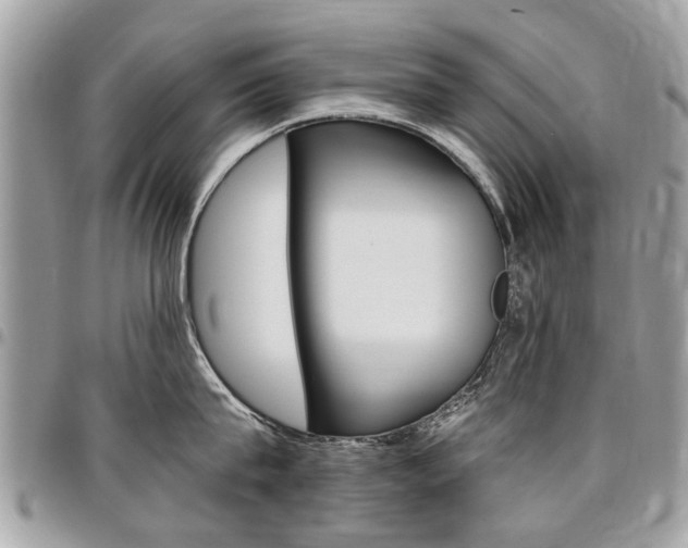 X0000096970815200802080922