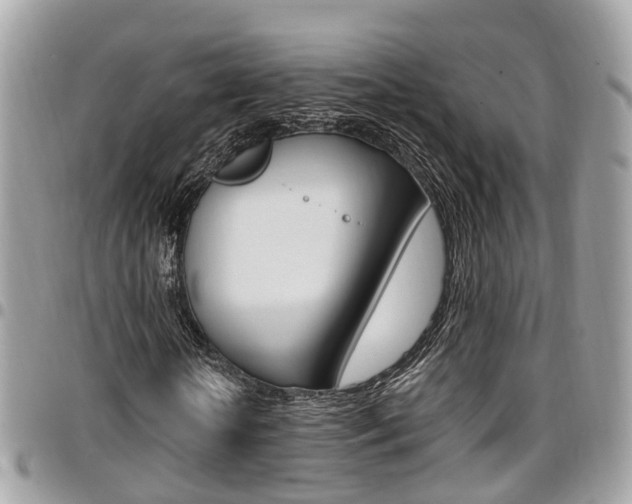 X0000096970818200802080921