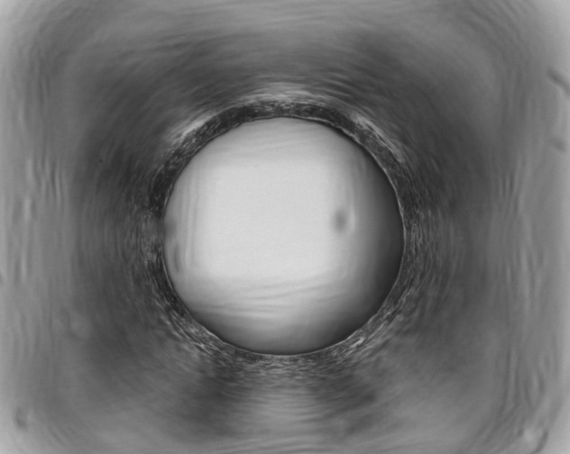 X0000096970822200802080921