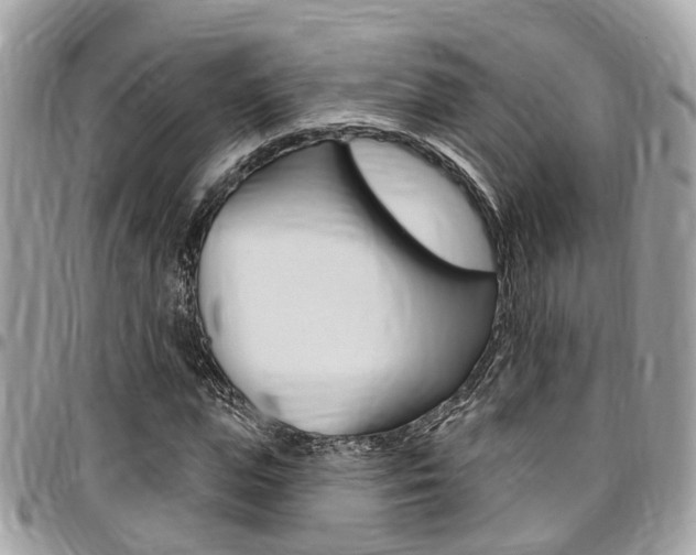X0000096970823200802080921
