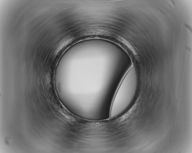 X0000096970826200802080921
