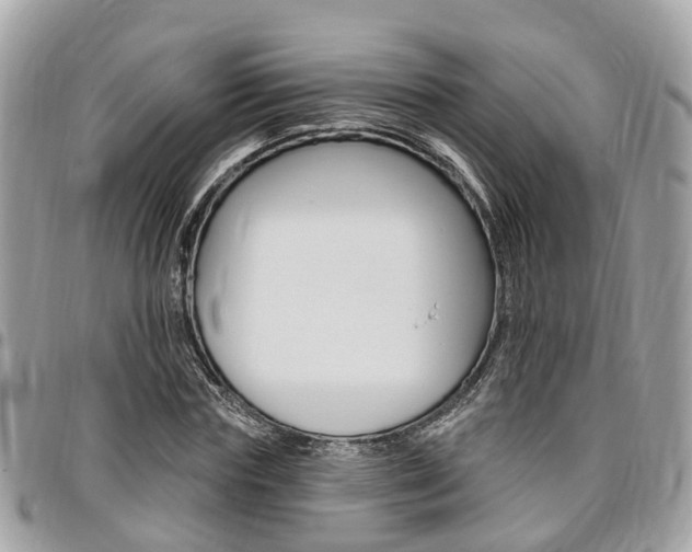 X0000096970827200802080921