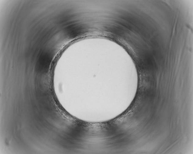 X0000096970828200802080921