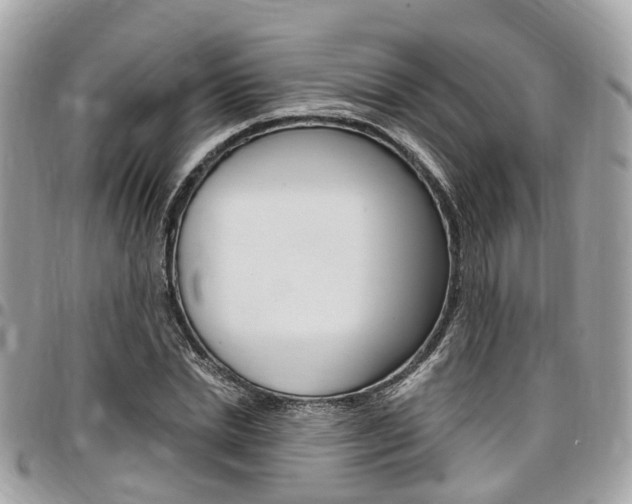 X0000096970830200802080921