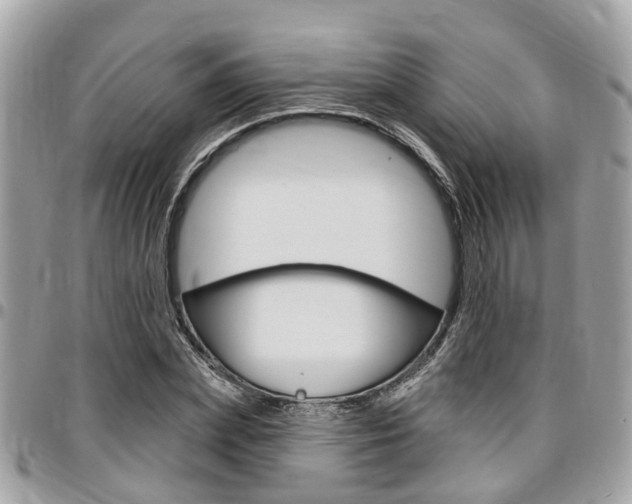 X0000096970831200802080921