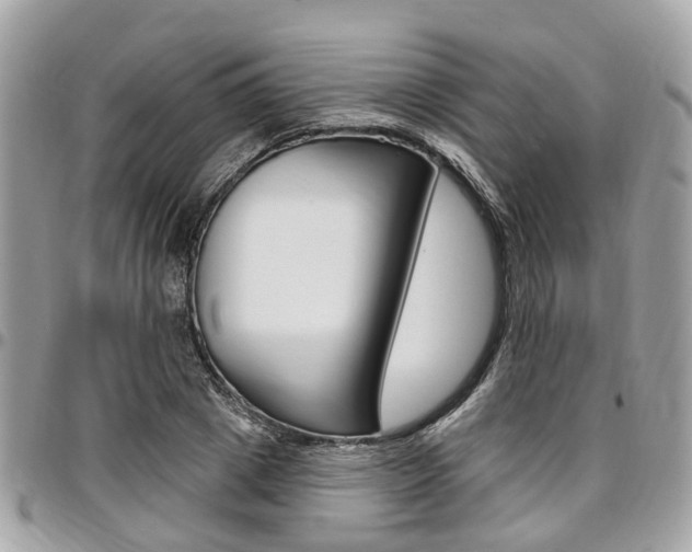 X0000096970833200802080921