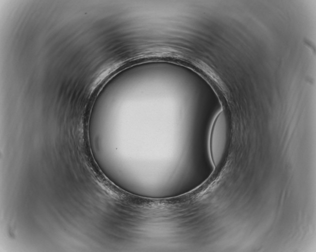 X0000096970834200802080921