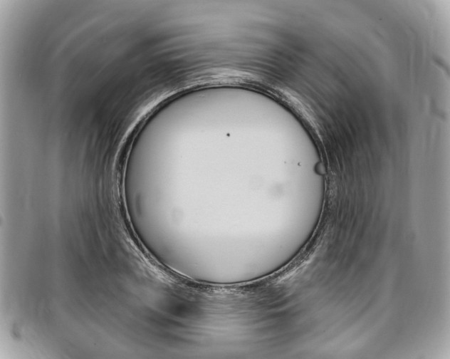 X0000096970835200802080921