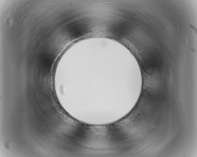 X0000096970836200802080921