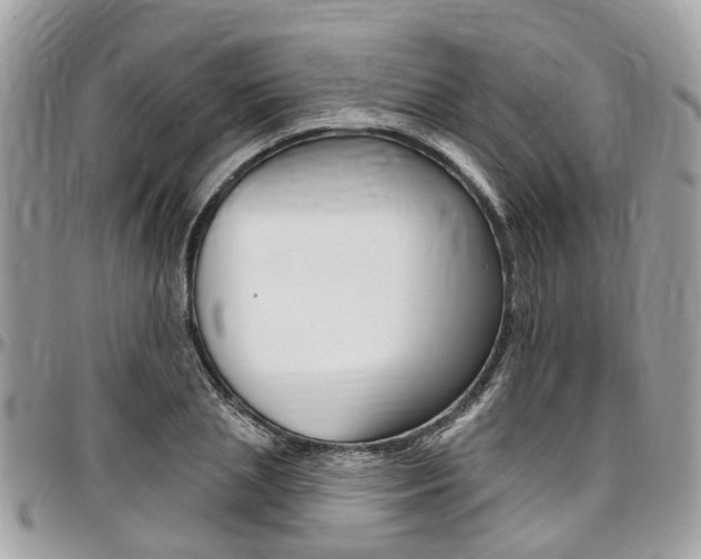 X0000096970837200802080921