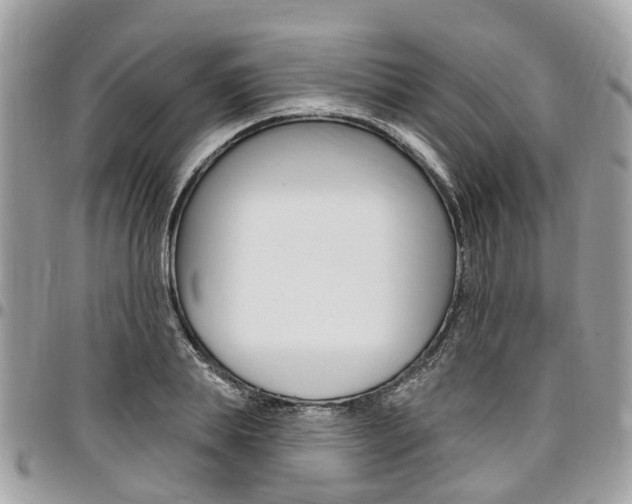 X0000096970839200802080921