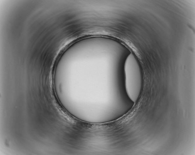 X0000096970840200802080921