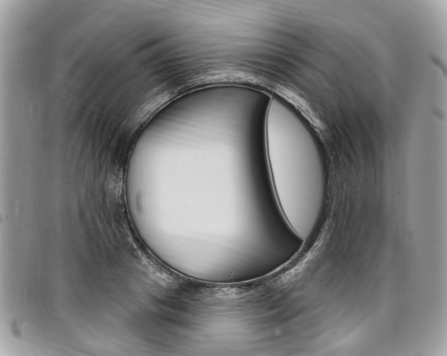 X0000096970841200802080921
