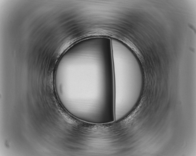 X0000096970842200802080921