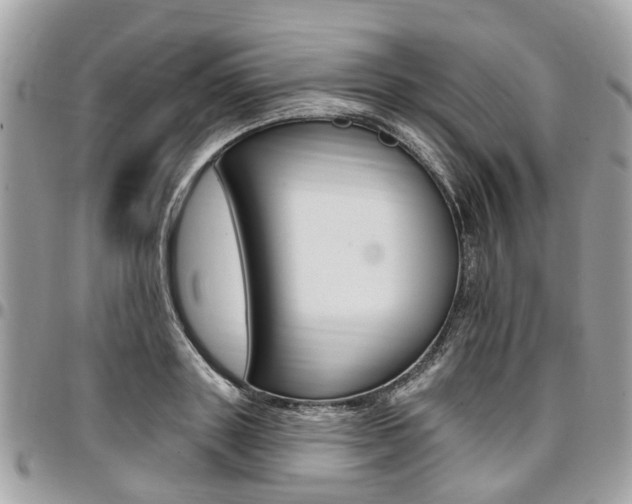X0000096970843200802080921