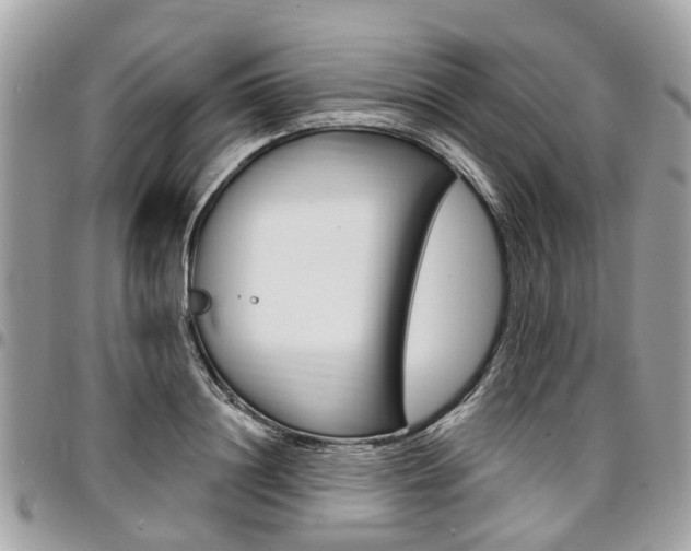 X0000096970844200802080921