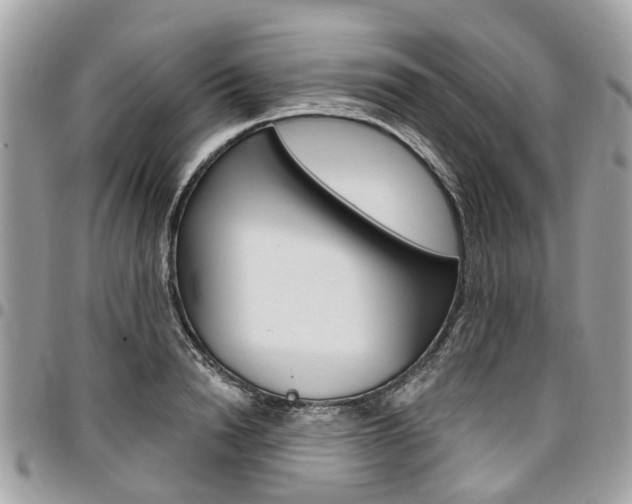 X0000096970846200802080921