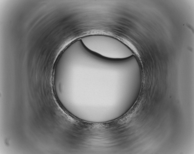 X0000096970847200802080921