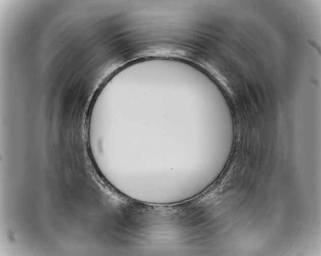 X0000096970848200802080921