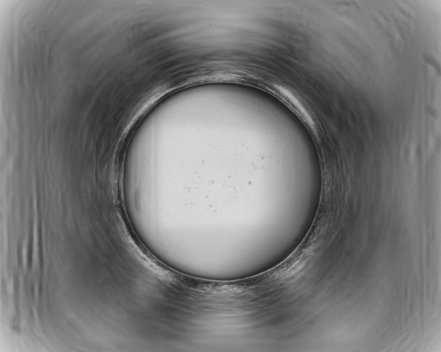X0000096970851200802080921